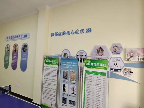 淳安心理服務體系新篇章 構筑覆蓋城鄉的“心靈港灣”